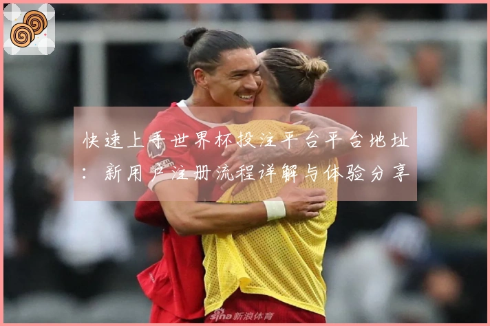 快速上手世界杯投注平台平台地址:新用户注册流程详解与体验分享