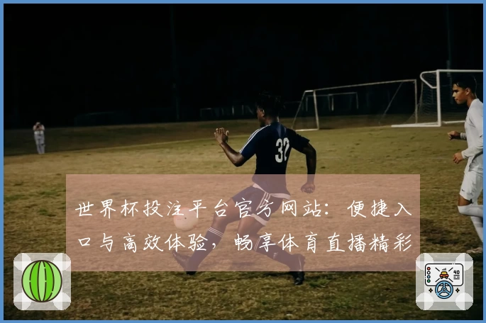 世界杯投注平台官方网站:便捷入口与高效体验,畅享体育直播精彩赛事