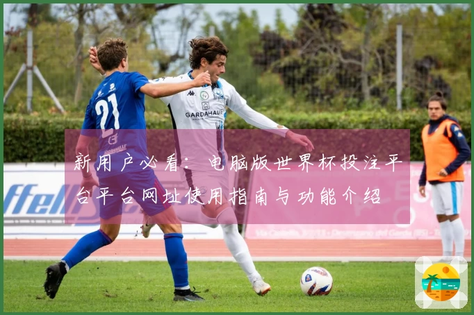 新用户必看：电脑版世界杯投注平台平台网址使用指南与功能介绍