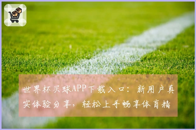 世界杯买球APP下载入口：新用户真实体验分享，轻松上手畅享体育精彩