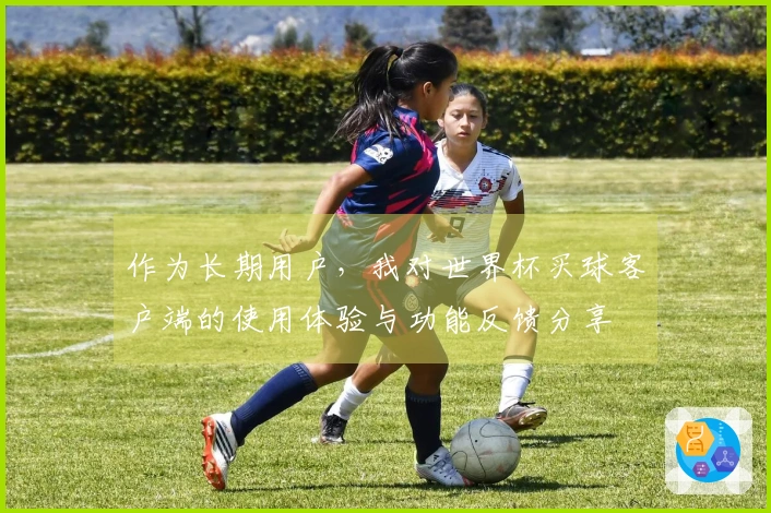 作为长期用户，我对世界杯买球客户端的使用体验与功能反馈分享