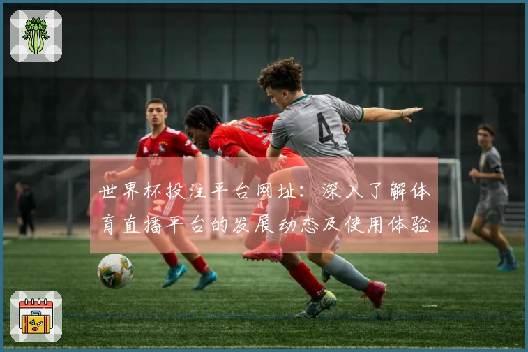 世界杯投注平台网址：深入了解体育直播平台的发展动态及使用体验